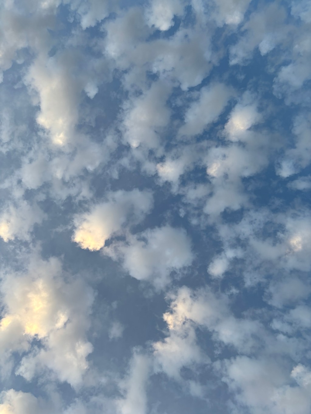 Morning Clouds Above