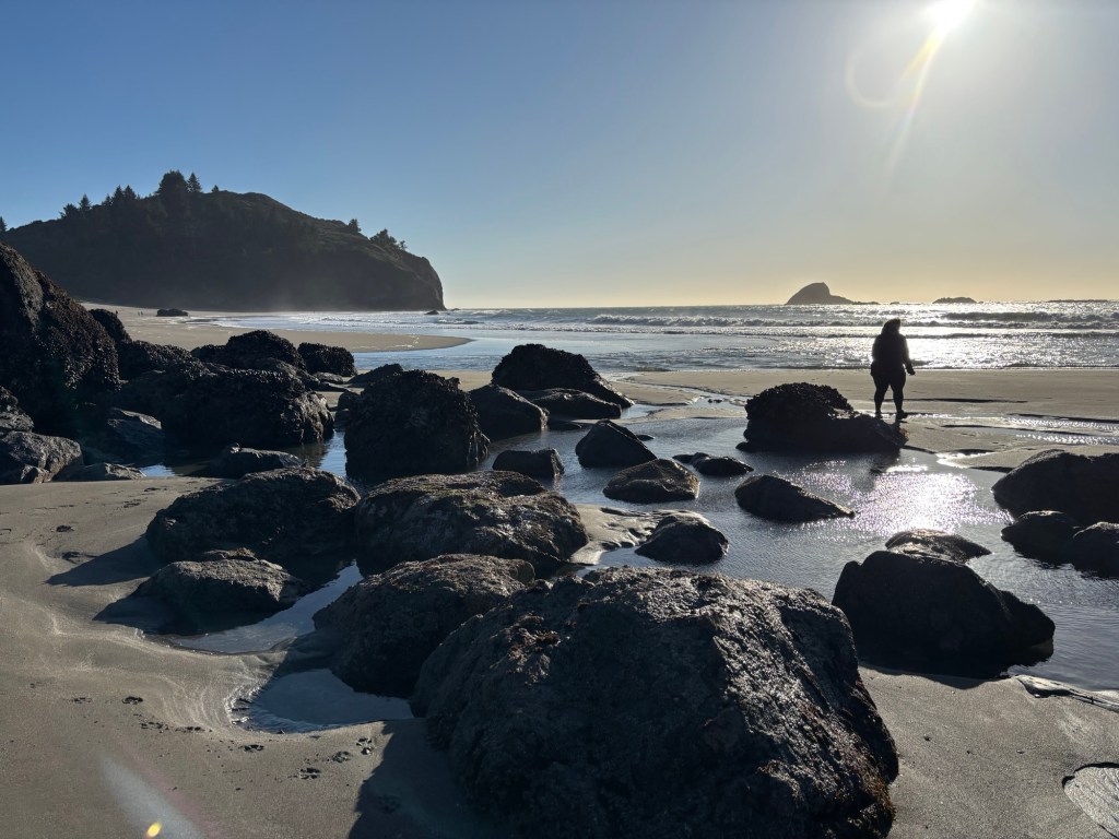 Low Tide in&nbsp;Trinidad