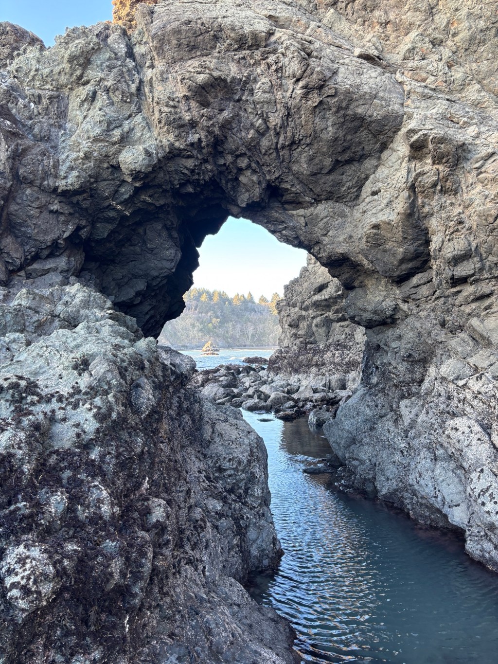 Economic Prediction 2025.02.21