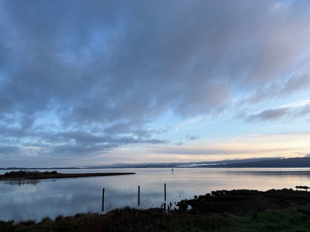 Life Near the&nbsp;Bay