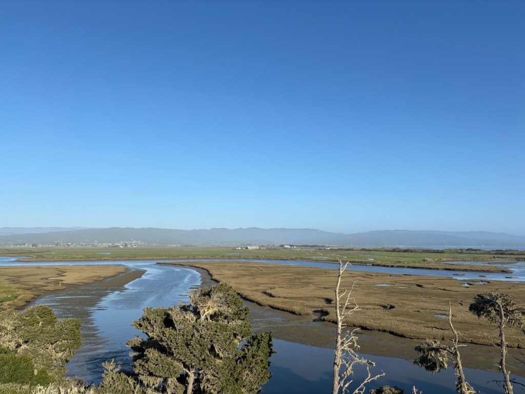 Dap Loop Trail at Ma-Le’l&nbsp;Dunes