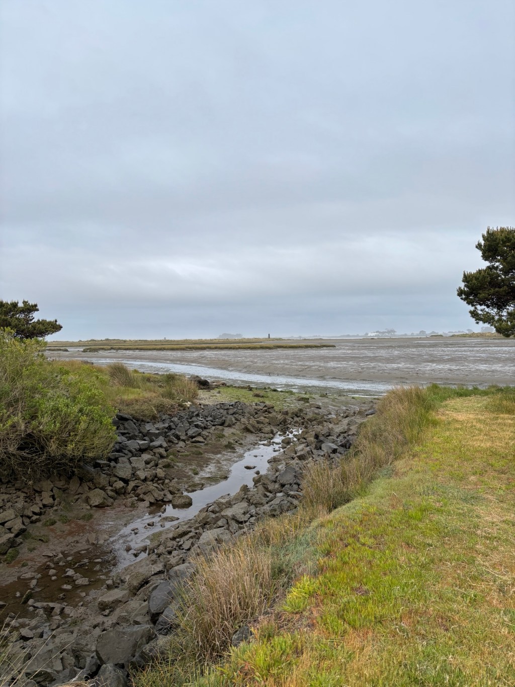 Too Similar for&nbsp;Comfort