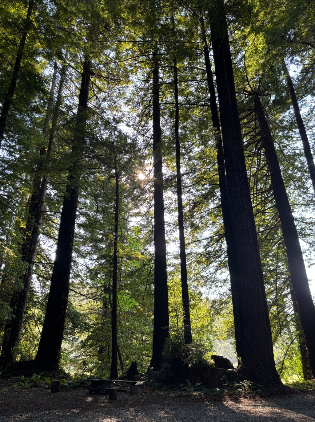 2025.07.13 Weekly Update