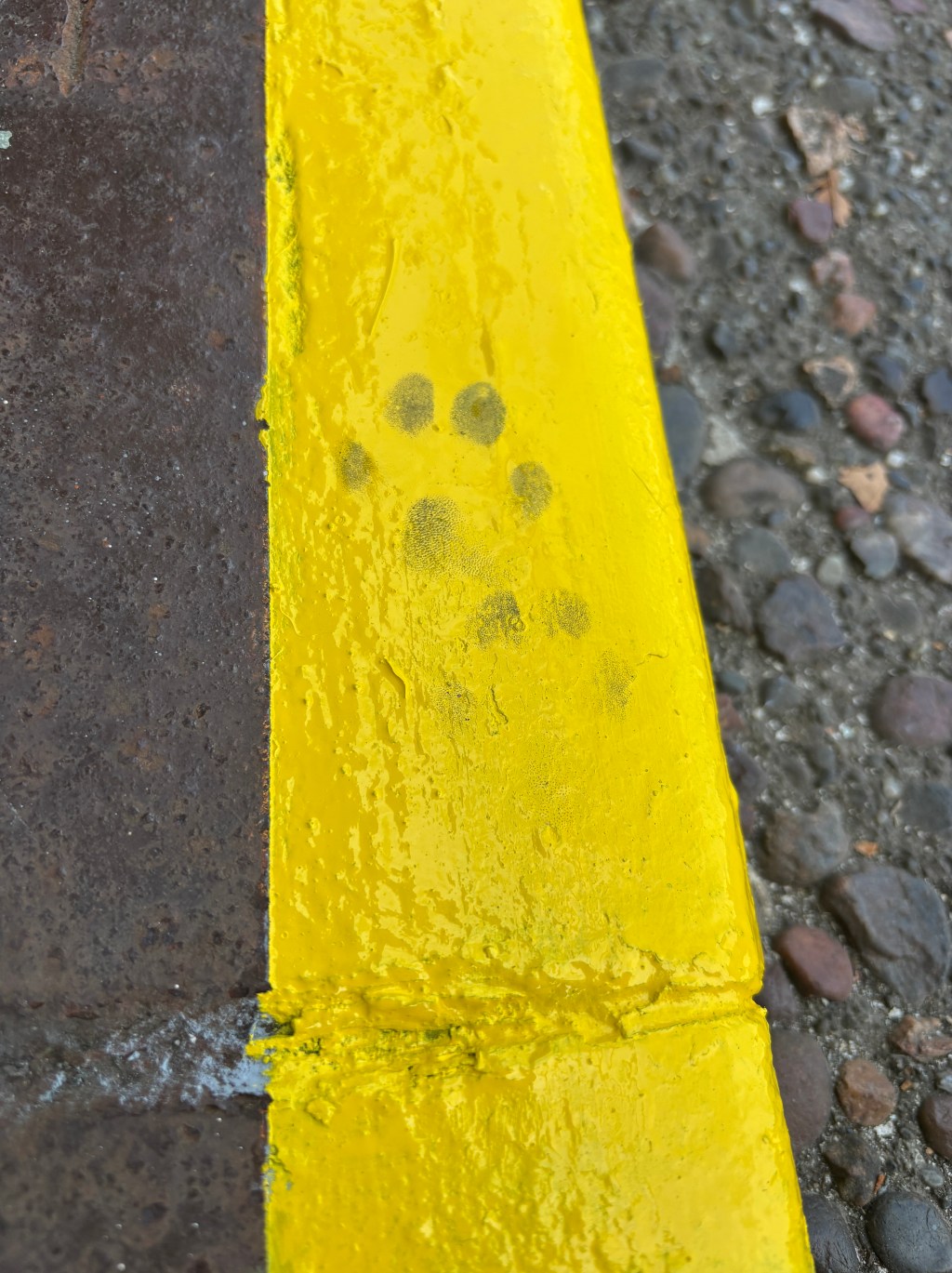 2025.08.03 Weekly Update