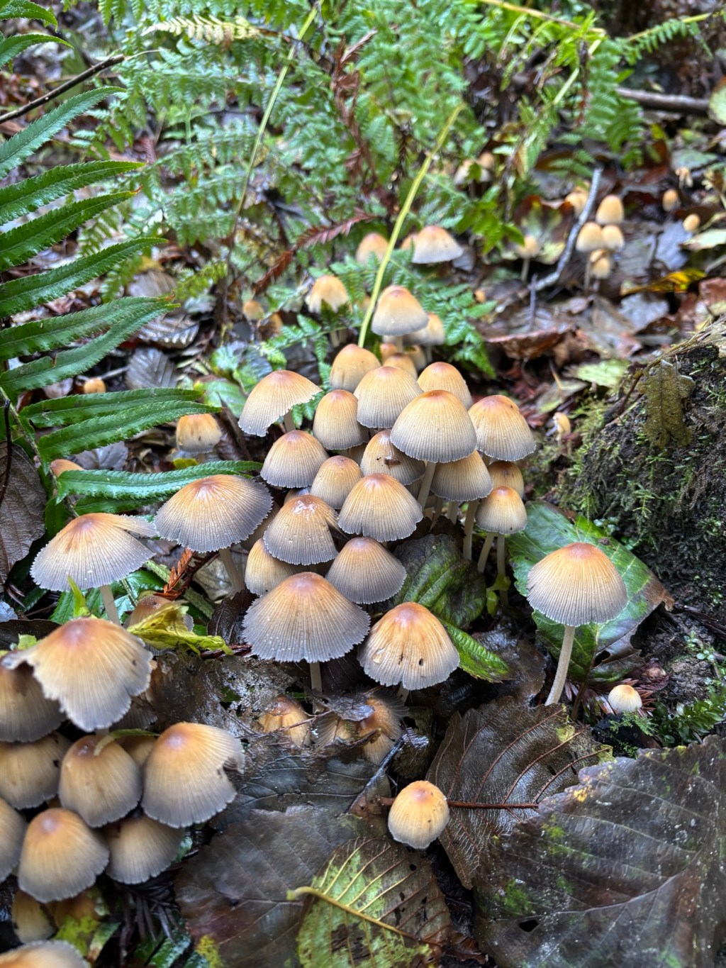 Sunday Hike in&nbsp;December